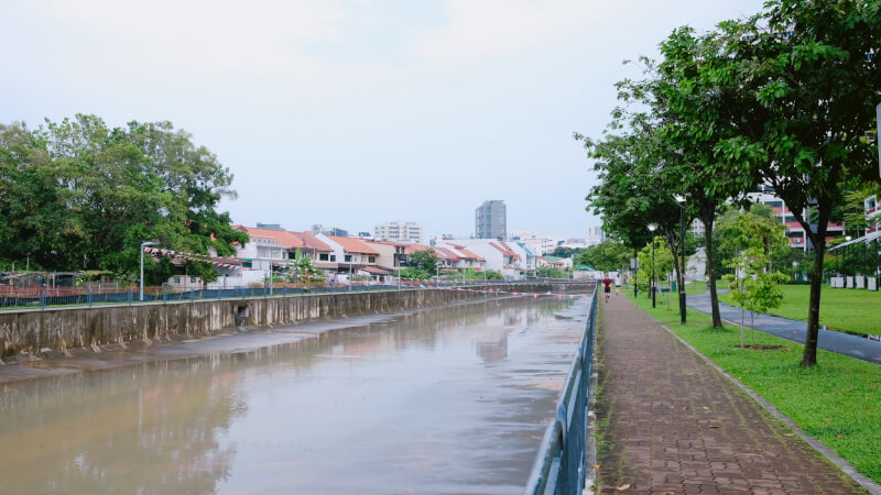 The river after rain